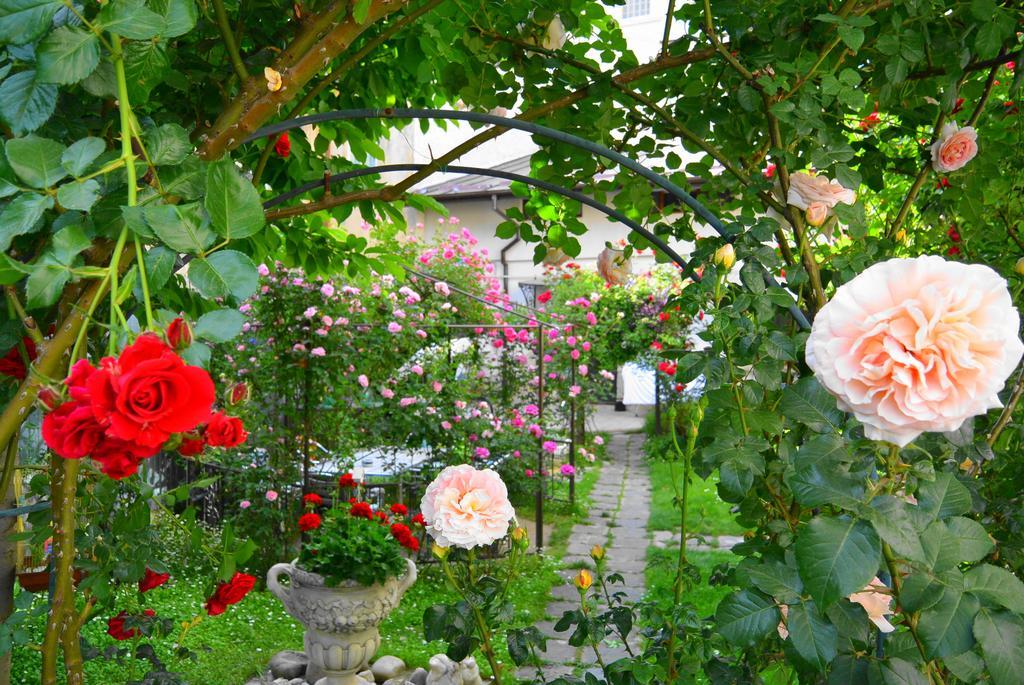 Residenza Dutzu-Boutique Hotel Brăila Екстериор снимка