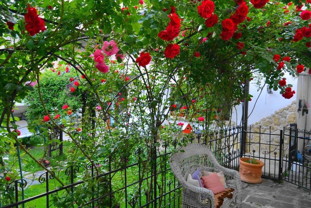 Residenza Dutzu-Boutique Hotel Brăila Екстериор снимка