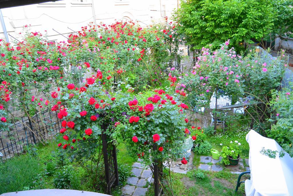 Residenza Dutzu-Boutique Hotel Brăila Екстериор снимка