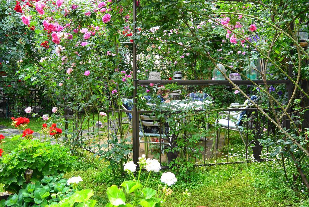 Residenza Dutzu-Boutique Hotel Brăila Екстериор снимка
