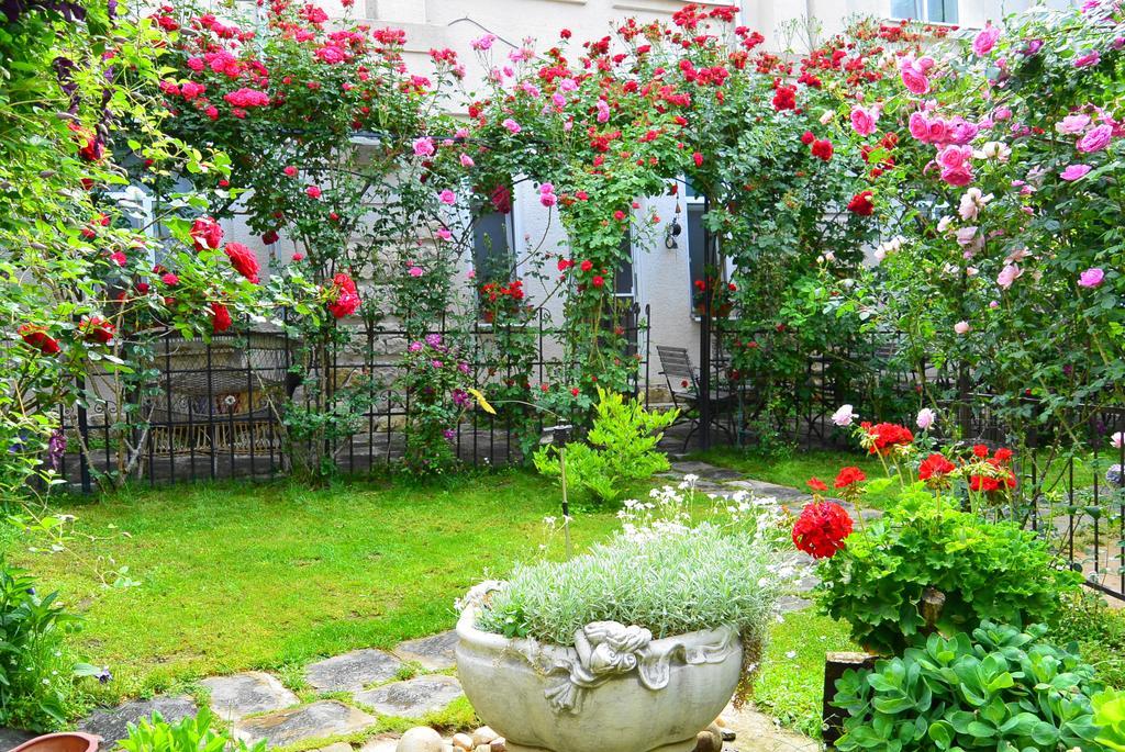 Residenza Dutzu-Boutique Hotel Brăila Екстериор снимка