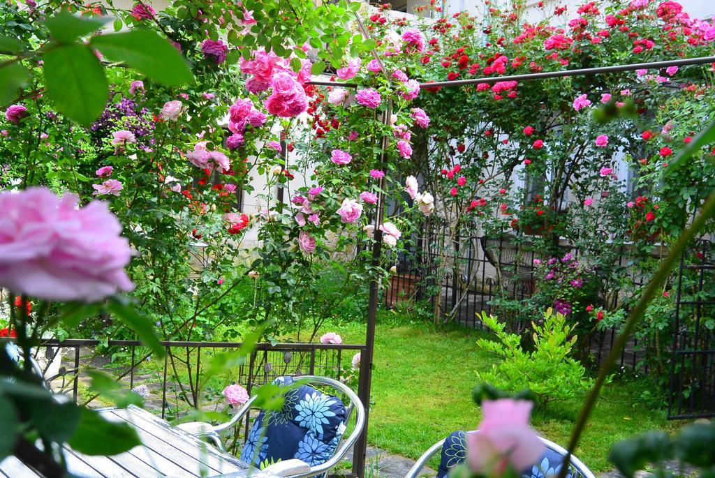 Residenza Dutzu-Boutique Hotel Brăila Екстериор снимка