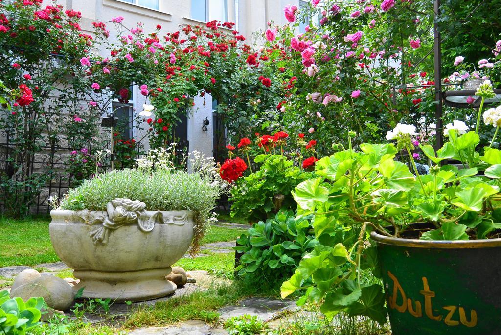 Residenza Dutzu-Boutique Hotel Brăila Екстериор снимка