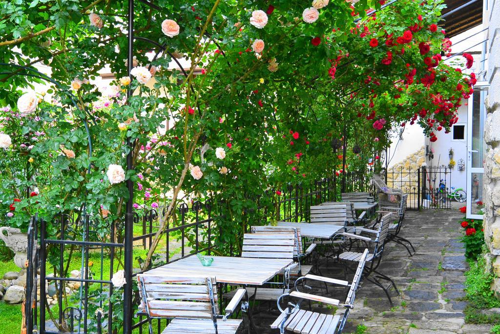 Residenza Dutzu-Boutique Hotel Brăila Екстериор снимка