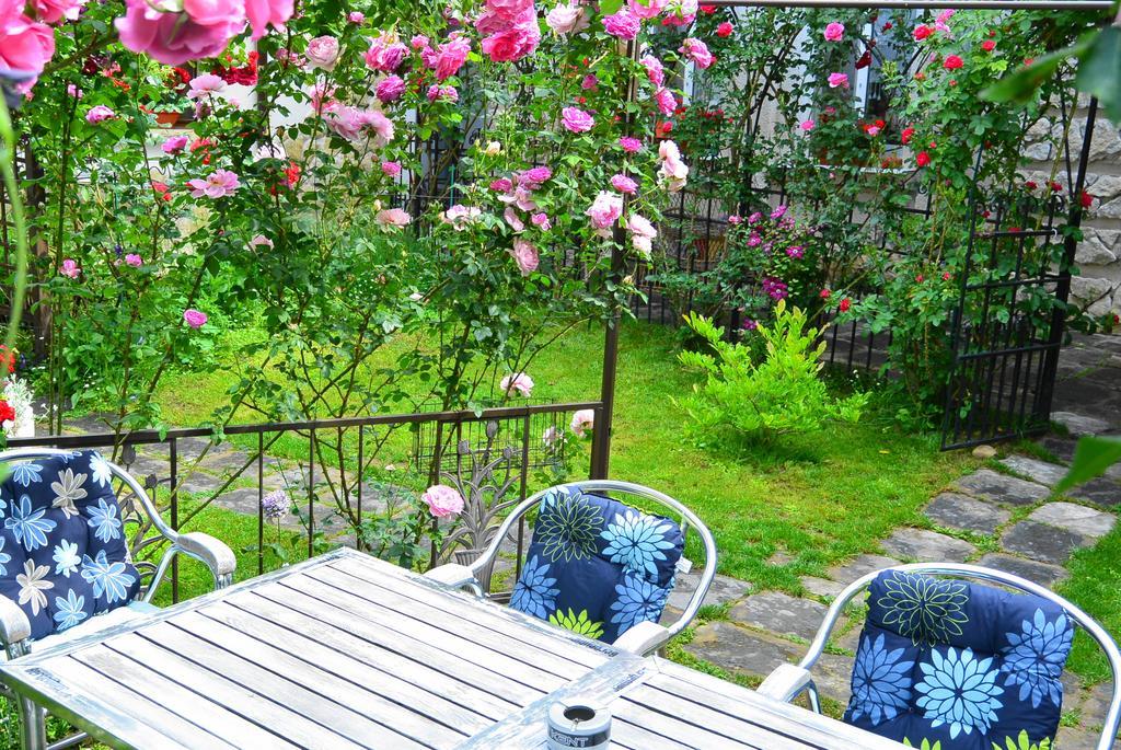 Residenza Dutzu-Boutique Hotel Brăila Екстериор снимка