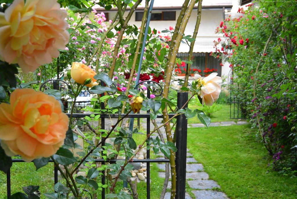 Residenza Dutzu-Boutique Hotel Brăila Екстериор снимка