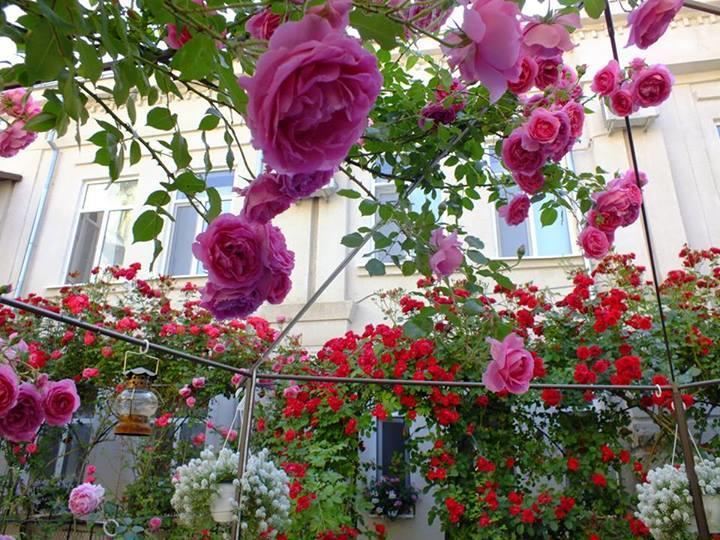 Residenza Dutzu-Boutique Hotel Brăila Екстериор снимка